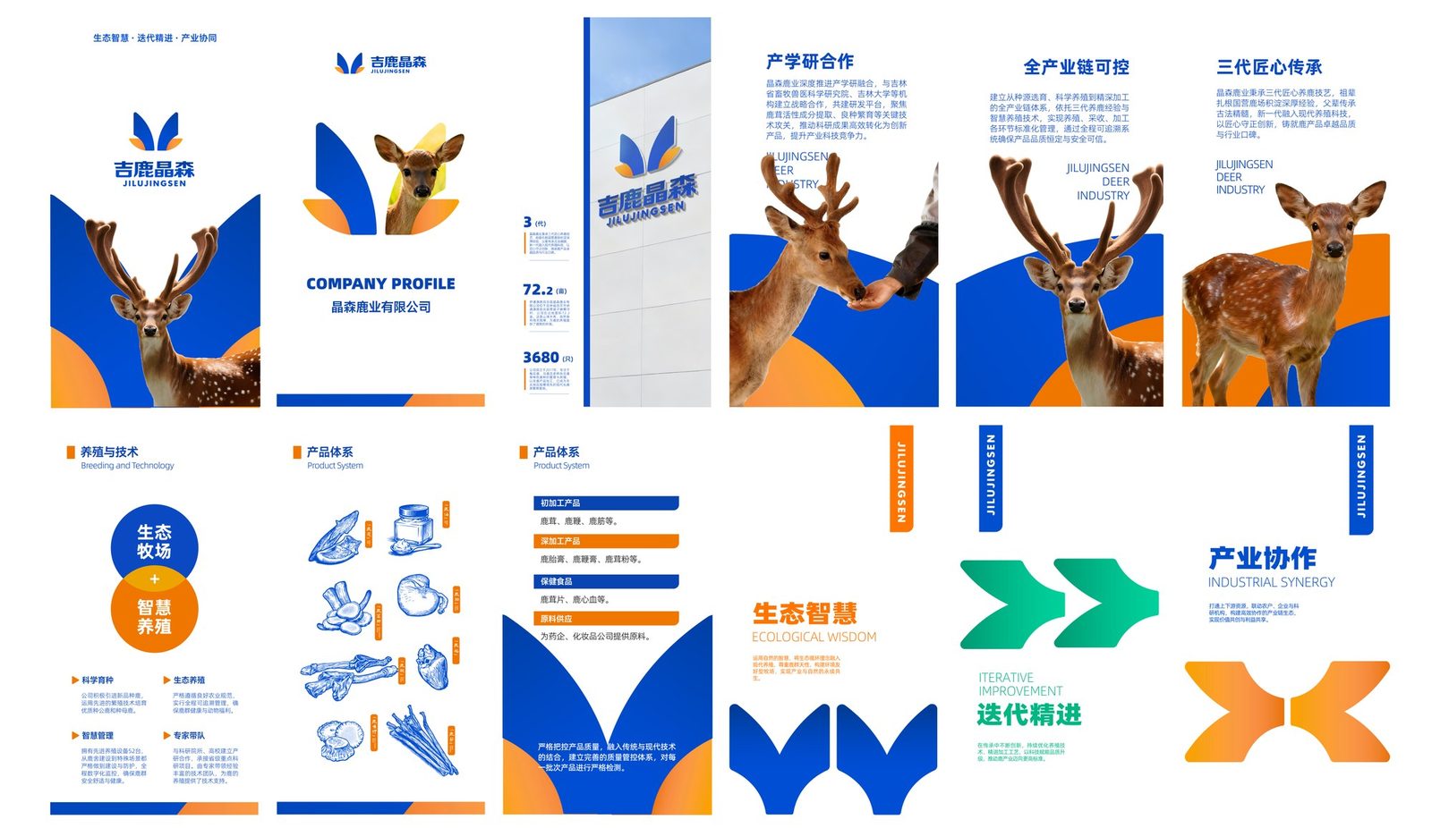 手机版企业介绍规范模版-14
