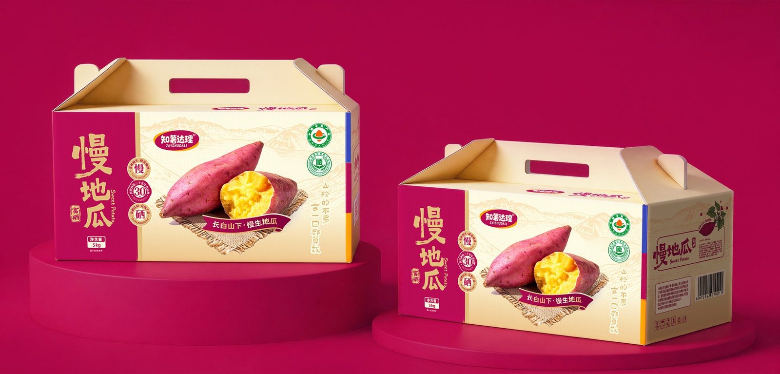 慢地瓜 · 双箱陈列